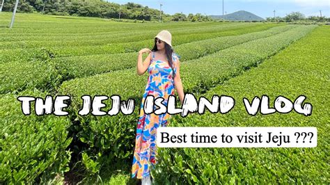 jedoy vlogs|3 Days in Jeju Island VLOG Things You Should Know  .